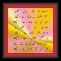 Ghazal bn02 * 18.04.2007 * 445 x 824 * (33KB)